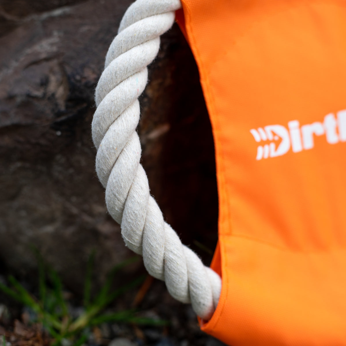 Dog Toy