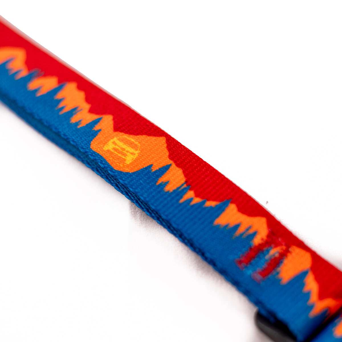 Dog Leash
