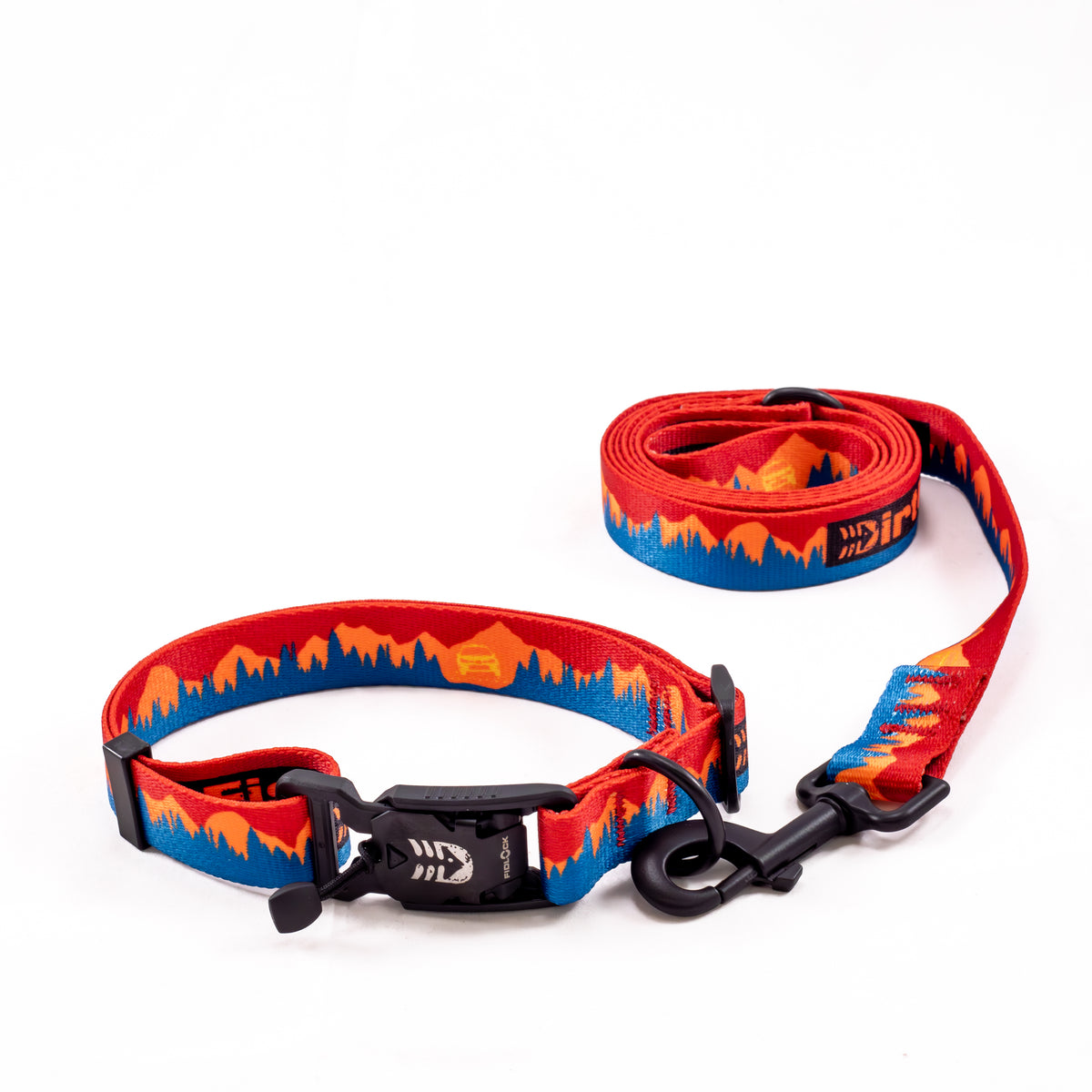 Dog Leash